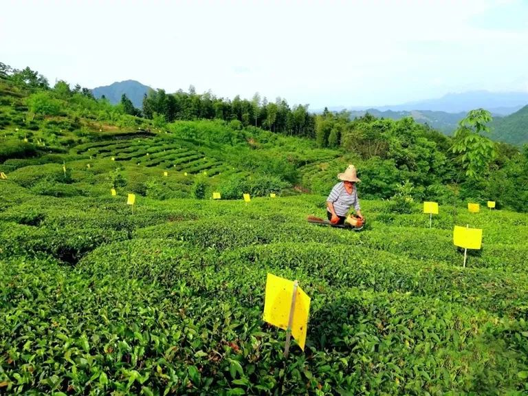 1667895108275915.jpg 1667895108275915.jpg