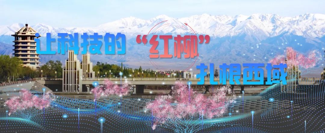 1745463699349503.jpg 1745463699349503.jpg